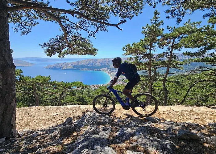 Lulu Kamena S Maslinikom Otok Krk Dobrinj Selo Willa